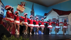 Prunksitzung_18_0008