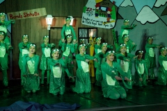 Prunksitzung_19_0020