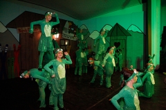 Prunksitzung_19_0025