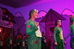 Prunksitzung_19_0027