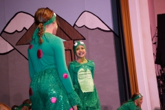 Prunksitzung_19_0028