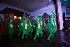 Prunksitzung_19_0029