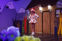 Prunksitzung_19_0038