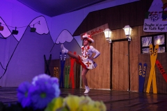 Prunksitzung_19_0039