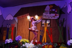 Prunksitzung_19_0040