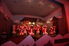 Prunksitzung_19_0082