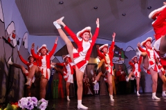 Prunksitzung_19_0087