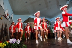 Prunksitzung_19_0088