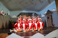 Prunksitzung_19_0092