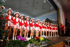 Prunksitzung_19_0094